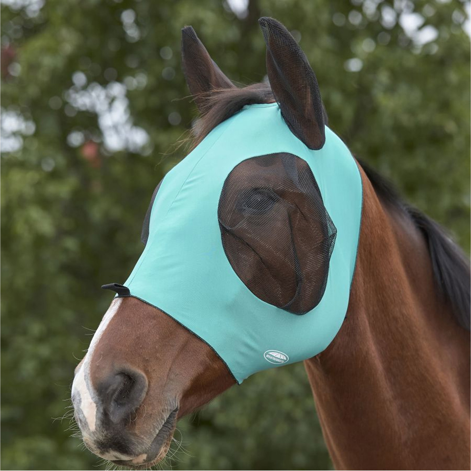 Weatherbeeta Deluxe Stretch Bug Eye Saver With Ears 1009573040 - Turquoise